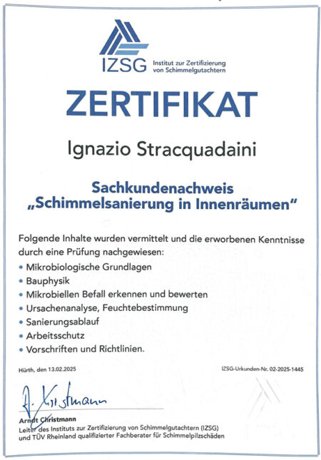 Zertifikat Raumdesigner Stracquadaini